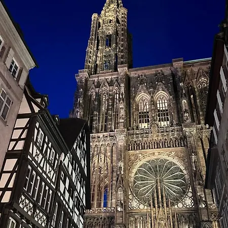 Les Toits De Gutenberg Страсбург