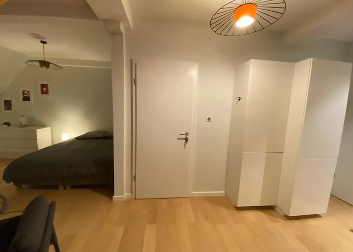 Les Toits De Gutenberg ストラスブール