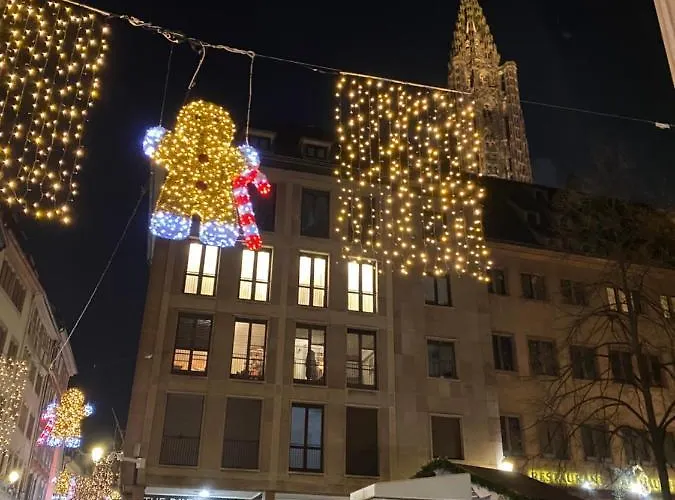 Les Toits De Gutenberg * ストラスブール