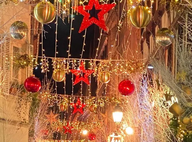 Les Toits De Gutenberg ホームステイ