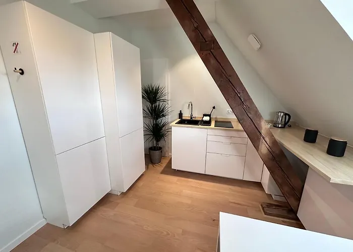 Les Toits De Gutenberg * ストラスブール