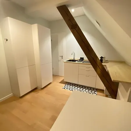 Les Toits De Gutenberg