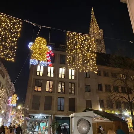 Les Toits De Gutenberg * Straatsburg