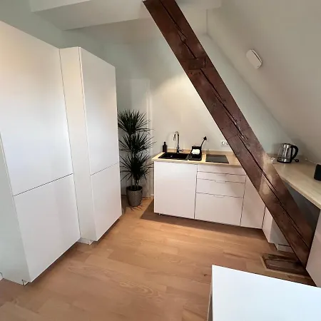 Les Toits De Gutenberg * Straatsburg